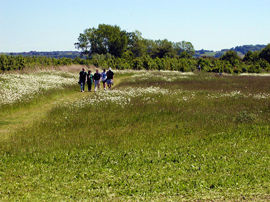 Enjoying the Marston Vale Walks