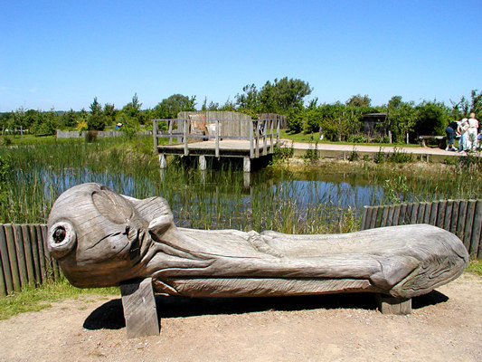 Marston Vale - Bench and View across Pond