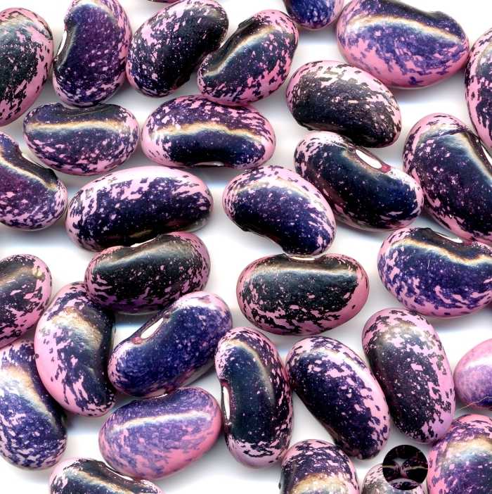 Beans magnified