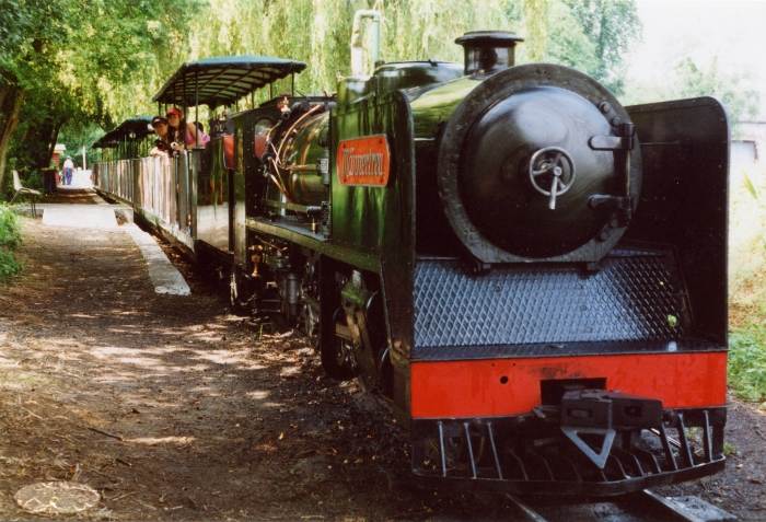 Model steam engine Maennertreu