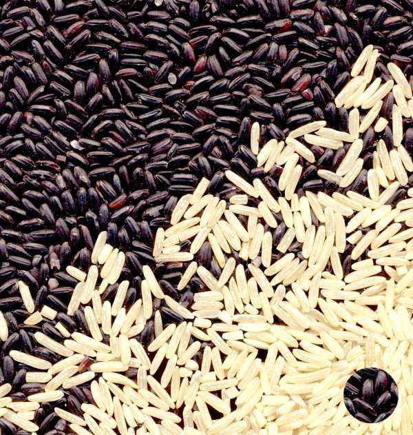 Brown and white rice composition