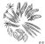 icon link Dandelion seeds